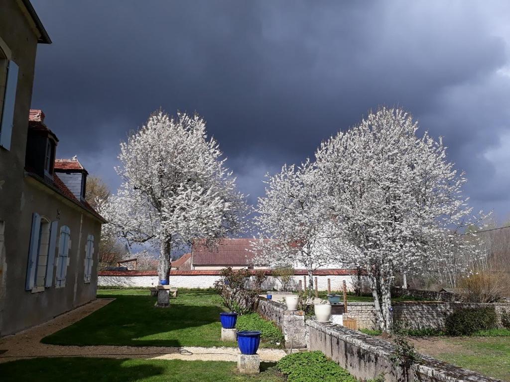 Hotel La Cuvellerie Narcy Esterno foto
