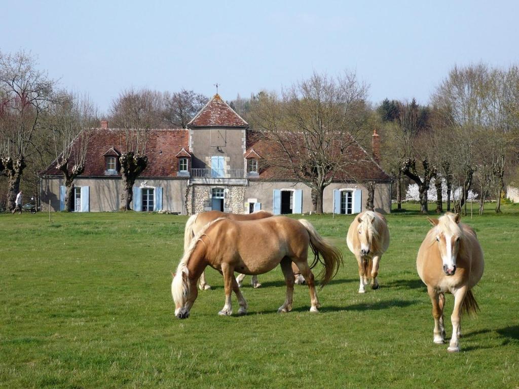 Hotel La Cuvellerie Narcy Esterno foto