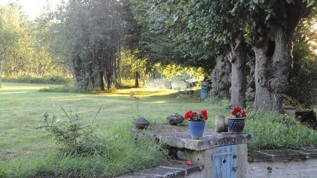 Hotel La Cuvellerie Narcy Esterno foto
